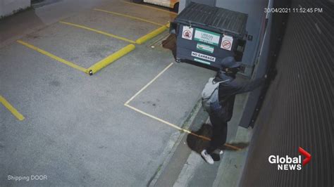 Camera Loving Vandal Caught On Surveillance Video By Vancouver Business Tagged With Graffiti