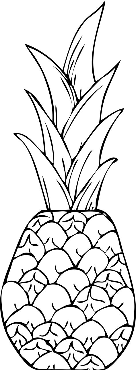 Pineapple Coloring Pages Printable For Adults Coloring Pages