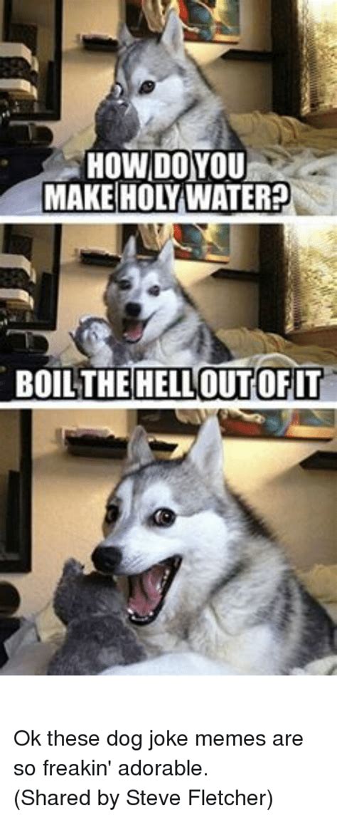 How Do You Boil The Helloutofit Ok These Dog Joke Memes Are So Freakin