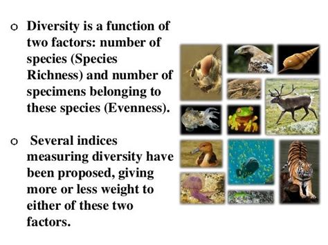 Global Pattern Of Biodiversity