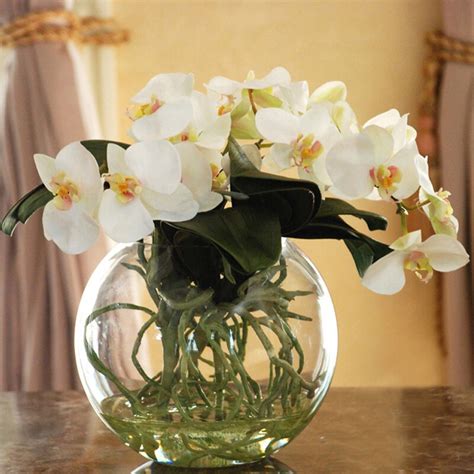 Jane Seymour Botanicals Phalaenopsis Orchid Floral Arrangement In Decorative Vase And Reviews