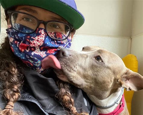 We'd love to hear from you. Bay Area Animal Rescue Offers Free Pet Food & Medicine