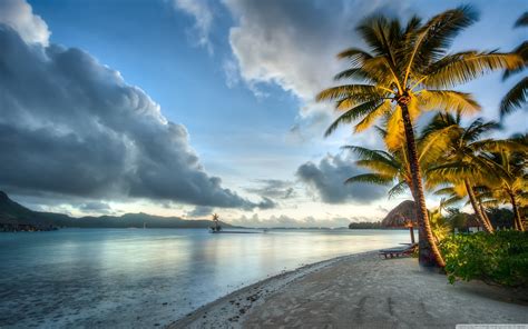 Bora Bora Backgrounds 84 Pictures