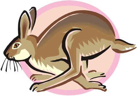Rabbit Rabbit Cartoon Hare Clipart - Rabbit Clipart ...