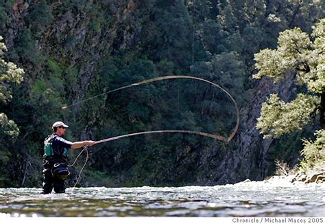 Pleural mesothelioma (malignant mesothelioma) is a rare malignant tumor originating from the superficial cells of the pleural lining. Early angler catches the trout / Upper Sacramento River ...