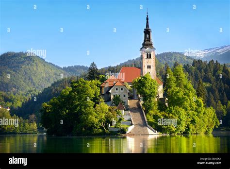 Assumption Of Mary Pilgrimage Church In The Middle Of Lake Bled Stock