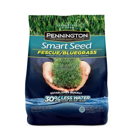 Pennington Kentucky Blue Grass Seed Lbs Walmart Com
