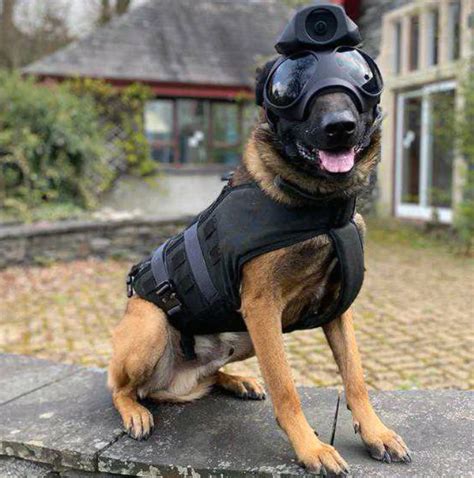 3d Printed Tactical Dog Camera Gear Takes Post Processing To The Field