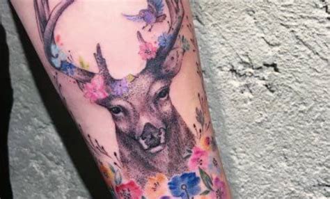 15 Best Deer Tattoo Designs For Women Petpress