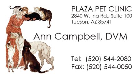 Plaza pet clinic would love to be your pet's vet! Veterinarian and Pet Services | Services | Journey to Healing