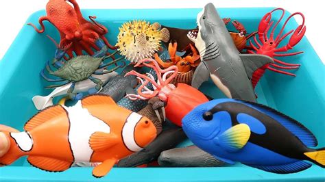 Lets Fishing Sea Animal Toys In A Toy Box Learn Sea Animals For Kids
