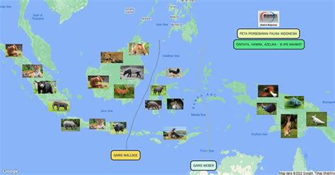 Peta Persebaran Fauna Di Indonesia Scribble Maps Sexiz Pix The Best