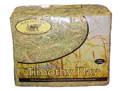 Timothy Hay Pure Pastures Hay And Grasses The Hay Experts