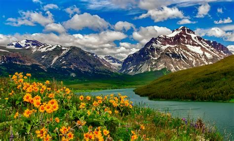 Mountain Flowers By The Lake Hd Wallpaper Background Image 2560x1549