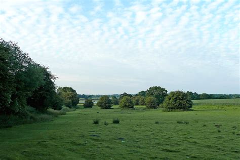 Pasture With Trees Near Hartshill © Roger Kidd Geograph Britain