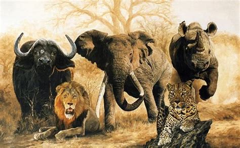 The Big Five Wildlife Animals In Tanzania Tanzania Big Five