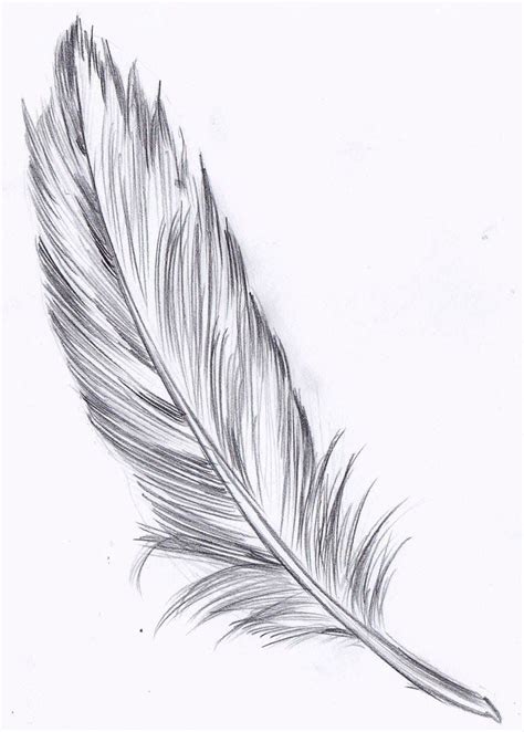 Feather Drawing Feather Tattoos Feather Tattoo Meaning