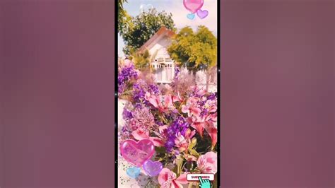 Beautiful Flowers Necher Love 💕 ️ Youtube Short Video Trending