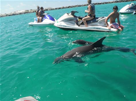 Most jet ski rentals can be arranged for periods varying from 20 minutes to two hours. Panama City Beach Jet Ski Rentals (New 2018) Compare Prices