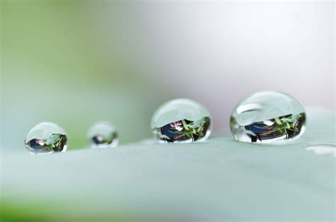 Macro Photography Ideas Water Drop Refraction