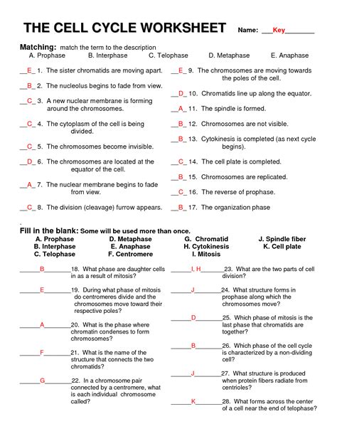 Cell division is not part of keeping organisms healthy. 12 Best Images of Life Science Worksheet Answer - Cell Cycle Worksheet Answer Key, Meiosis and ...