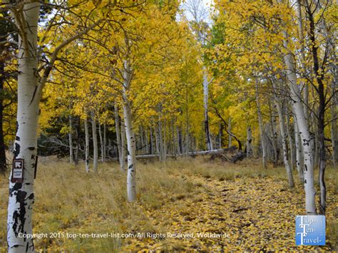 9 Places To See Fall Color In Arizona