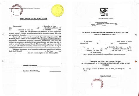 Declaração Consular De Estado Civil — Ministério Das Relações Exteriores