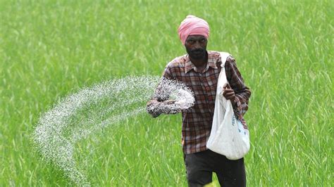 Scheme For Incentives To Reduce Fertiliser Usage In Final Phase