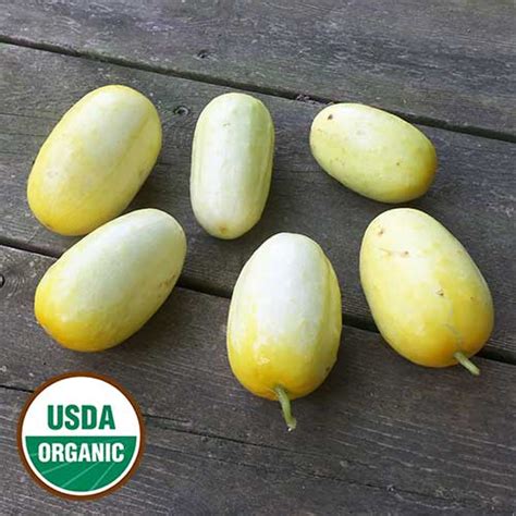 North Carolina Heirloom Cucumber Tomatomania