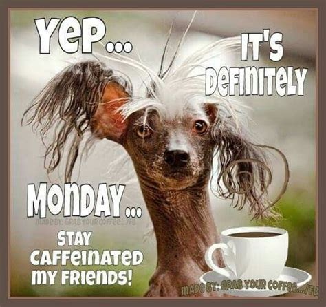 Yep Its Definitely Monday Pictures Photos And Images For Facebook