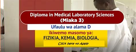Kigamboni City College Of Health And Allied Scienceskiccohas