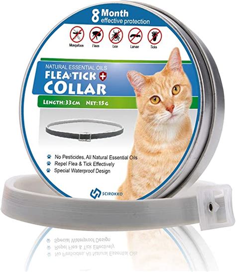 How Effective Are Flea Collars For Cats Munchkin Kitten Store