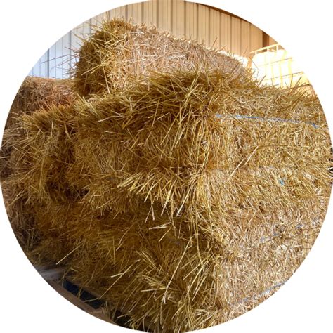 Straw Bale Grass Roots Garden Center And Ts