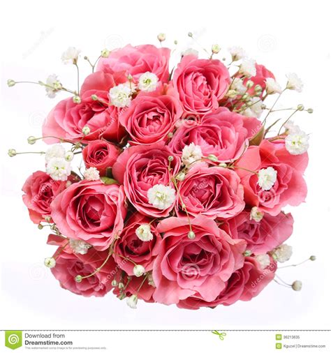 Bouquet Of Pink Roses Isolated On White Background Bridal Stock Image