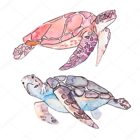 Sea Turtles Ocean Vector — Stock Vector © Boyurelizaveta 98743402