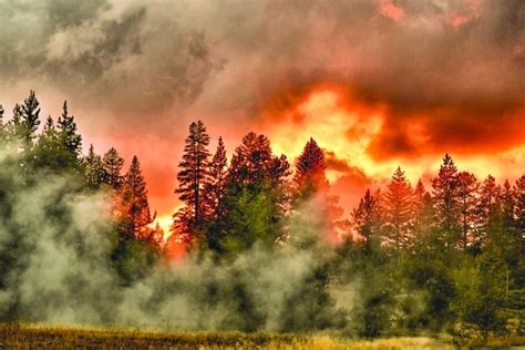 Sunset Looks Like A Forest Fire Yellowstone National Park Photorator