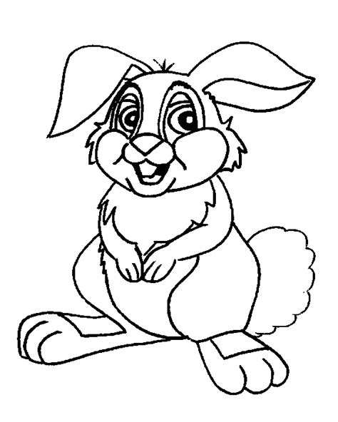 Cute Animal Rabbit Coloring Books Sheet For Kids Drawing Cartoon