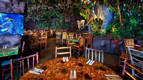 Take A Walk On The Wild Side At Rainforest Café