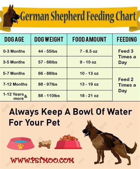 German Shepherd Puppy Weight Chart