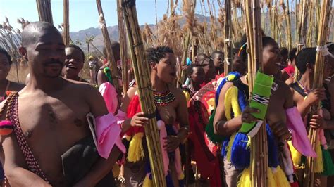 Beautiful Swazi Girls Reed Dancing For The Big Day Umhangla Reed Dance Swaziland Youtube