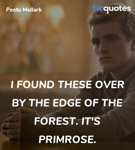 Peeta Mellark Quotes The Hunger Games Mockingjay Part 2 2015