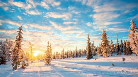 When Is The Best Time To Visit Lapland Tui