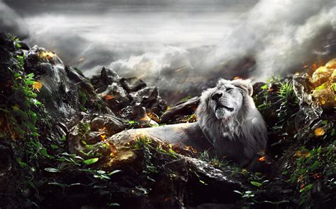 Jungle Lion Wallpapers | Wallpapers HD