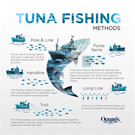 Tuna Fishing Methods Oceans