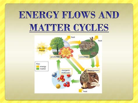 Ppt Energy And Matter Exchange In The Biosphere Powerpoint