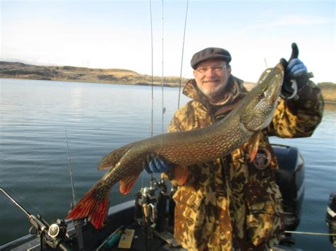 Glenn Fewless With A 40″ 20 Pound Northern Pike Fort Peck Fishing