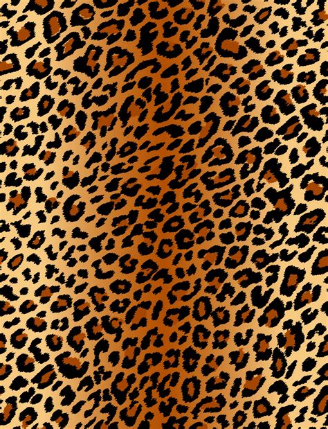 50 Great Sfondo Leopardato Nero Sfondo