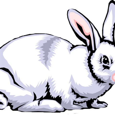 Rabbit Clipart Free Rabbit Clip Art Images Clipart White Rabbit Png