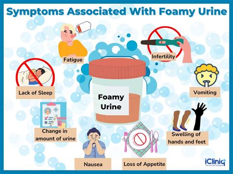 Foamy Urine Symptoms Causes Risk Factors Diagnosis Treatment