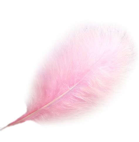 Feather Pink Ubicaciondepersonascdmxgobmx